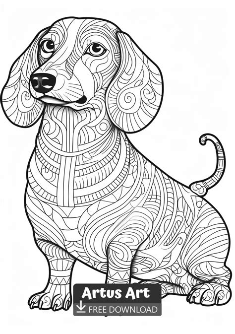 Dachshund Coloring Page | Dog coloring book, Dog coloring page, Animal coloring pages