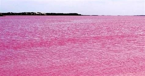 Lake Retba, Senegal | 20 Unbelievably beautiful places.