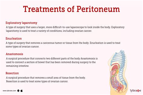 Peritoneum (Human Anatomy): Image, Functions, Diseases and Treatments