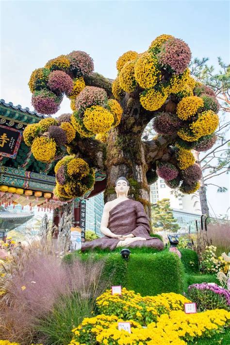 Jogyesa Temple in Seoul, South Korea | Busanpedia