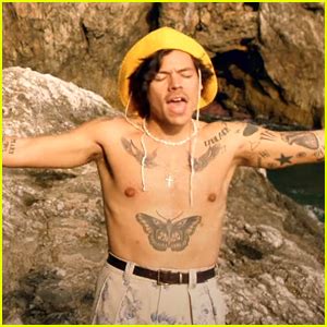 Harry Styles Goes Shirtless In New ‘Golden’ Music Video – Watch Now! | Harry Styles, Music ...