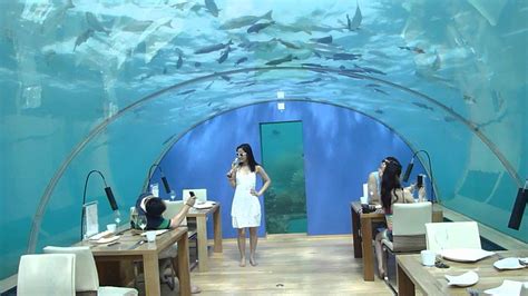 Maldives Ringali Island Conrad Underwater Restaurant Part 3 - YouTube