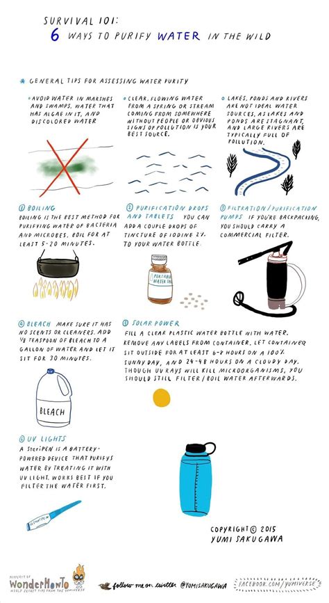 Survival 101: 6 Ways to Purify Water in the Wild « The Secret Yumiverse :: WonderHowTo