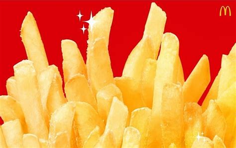 Are McDonald's fries vegan?