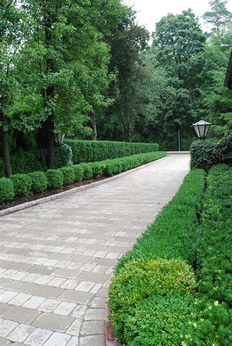 love this drive | Driveway entrance landscaping, Driveway landscaping, Modern landscaping