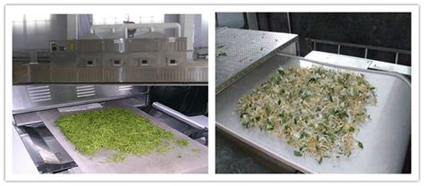 Superiorities of Microwave Equipment for Chinese Herb Medicine Drying