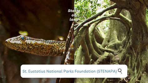 Promo video for St. Eustatius National Parks Foundation (STENAPA) featuring Statia on land - YouTube