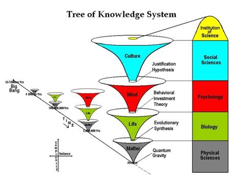 Psychology's Grand Unified Theory | Psychology Today