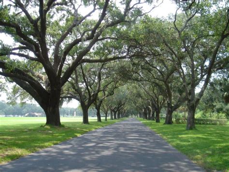 Bay Pines National Cemetery in Bay Pines, Florida - Find a Grave Cemetery