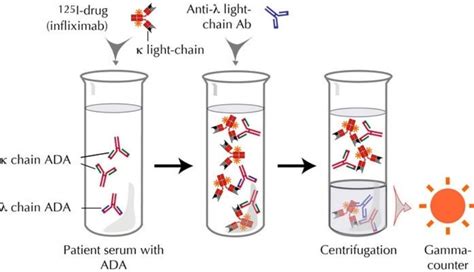 Radioimmunoassay - Applications, Principle, Procedure (Video), Vs ELISA ...