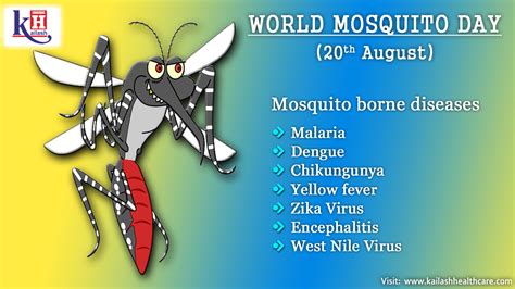 World Mosquito Day