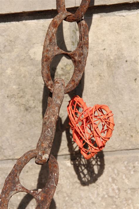 Free Images : chain, vehicle, rein, weapon, sports equipment, bridle ...