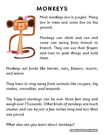 Monkey Reading Passage | PrimaryLearning.Org