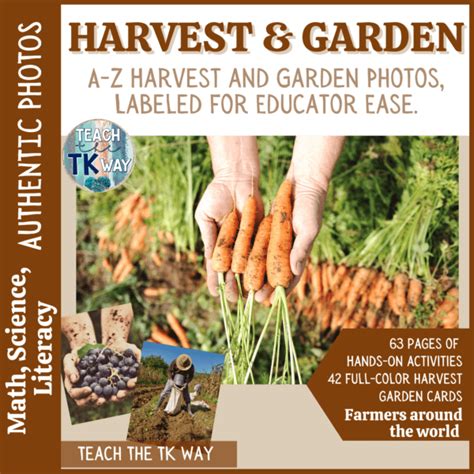 Harvest Activities - Natural Classroom Specialist