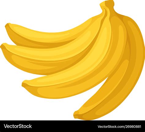 Four bananas in a bunch Royalty Free Vector Image