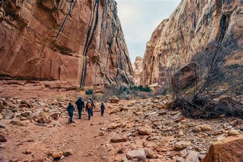 Best National Park To Visit In Utah For Hiking