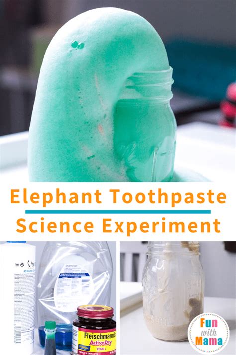 Elephant Toothpaste Experiment