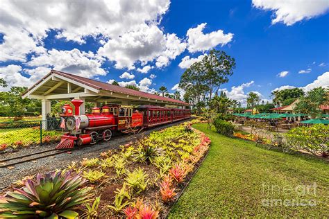 Dole Plantation Train Photograph by Aloha Art - Fine Art America