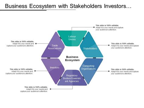 Business Ecosystem Diagram