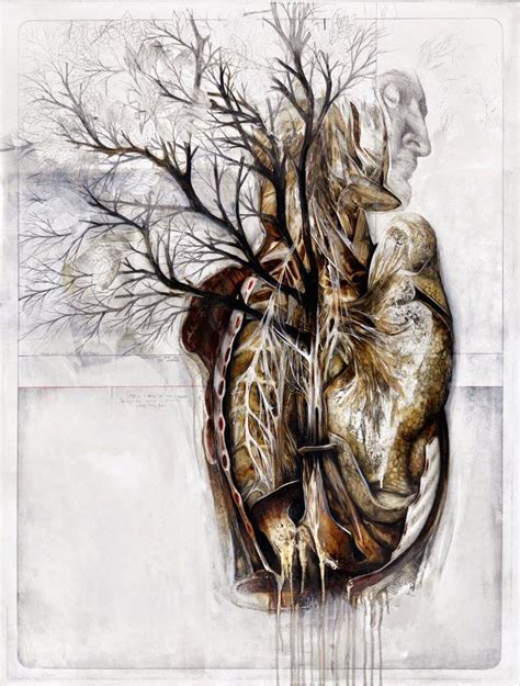 Anatomical Illustrations By Nunzio Paci - IGNANT | Anatomy art, Human anatomy art, Decay art