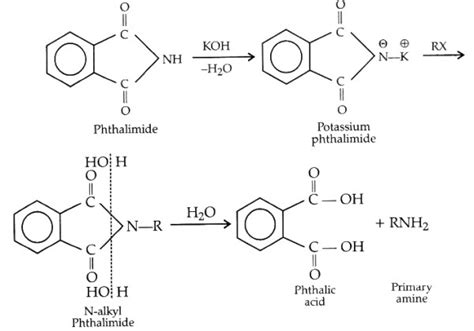 Explain the following reactions (i) Gabriel phthalimide reaction - Sarthaks eConnect | Largest ...