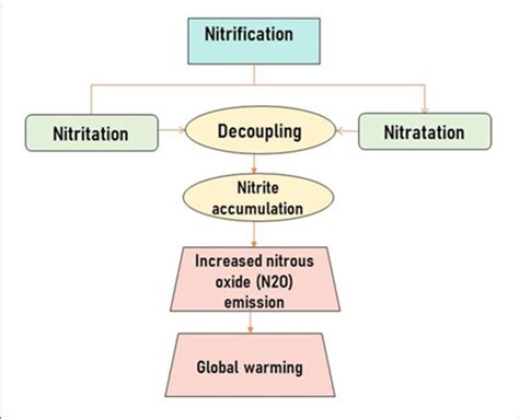 | Decoupling in soil nitrification process resulting to global warming ...