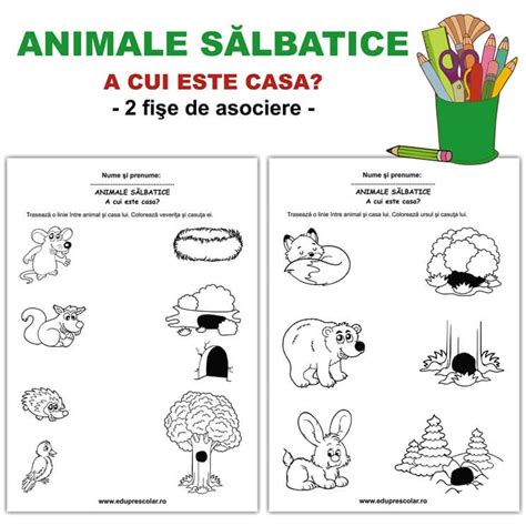 Animale salbatice - A cui e casa? - fise de lucru asociere | Eduprescolar.ro