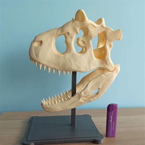 Carnotaurus skull 3d printed replica with stand | Etsy