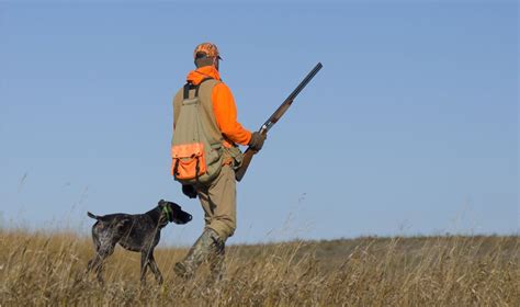 Tips for Staying Safe While Hunting