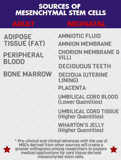 Introduction to the Cord Tissue Market and Cord Tissue-Derived ...