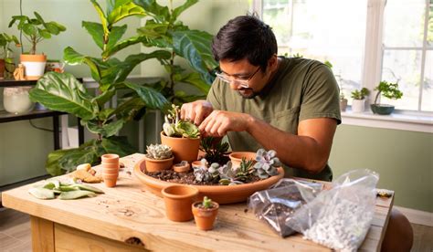 Succulent Plant Care: 5 Things You Need To Do ASAP | Garden Gate Magazine