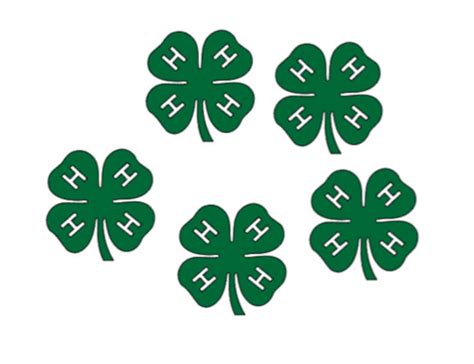 Mini 4-H Clover Set of 5 Vinyl Decals - Etsy UK