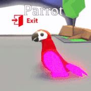 Parrot | Adopt Me! Wiki | Fandom in 2021 | Parrot, Adoption, Pet ...