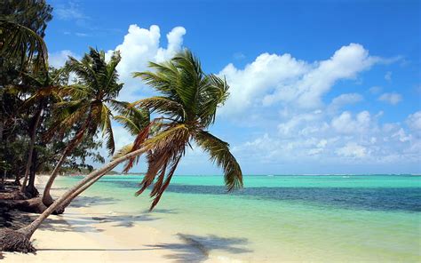 Punta Cana, Dominican Republic - Travelict. Adventure, Beautiful Dominican Republic HD wallpaper ...