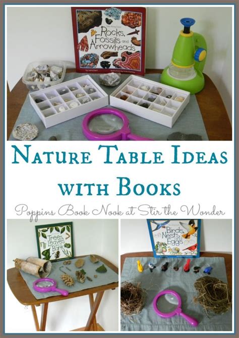 Nature Activities, Kids Learning Activities, Learning Centers, Science ...