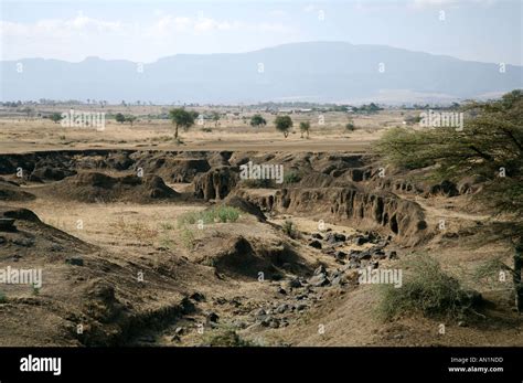 Severe soil erosion due to overgrazing in Arusha Tanzania Stock Photo - Alamy