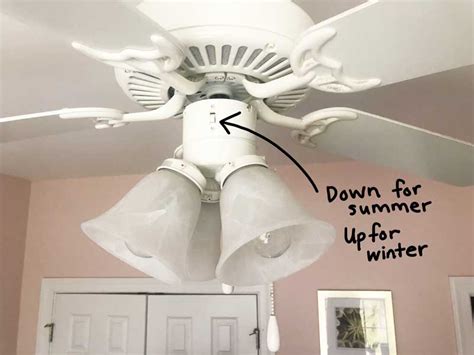 Change Your Ceiling Fan Direction To Save Money & Energy - The Happier ...