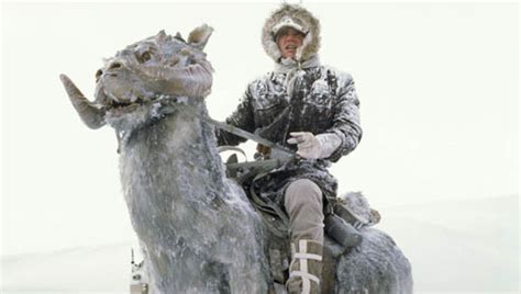 Tauntauns to Varactyl: Faithful Steeds of Star Wars — CultureSlate