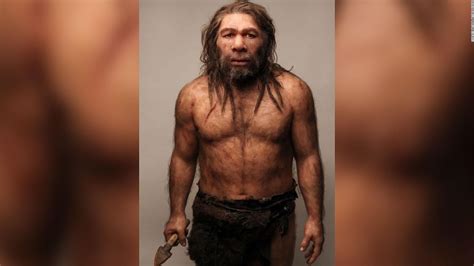 Early Modern Humans Had Sex With Neanderthals Otherground Mma | Hot Sex ...