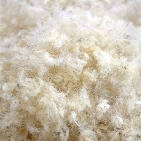 16 Different Types of Wool Fabric