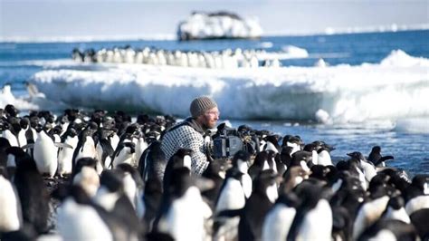 'Our Planet: Behind the Scenes' Documentary Arrives on Netflix - What's on Netflix