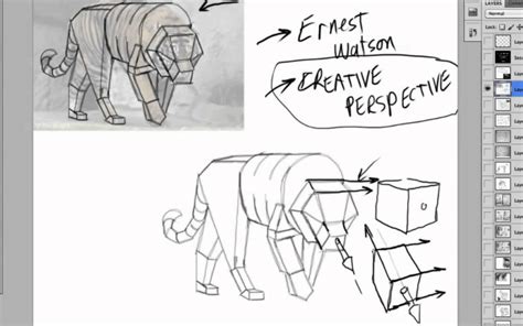 Drawing Animals In Perspective - YouTube