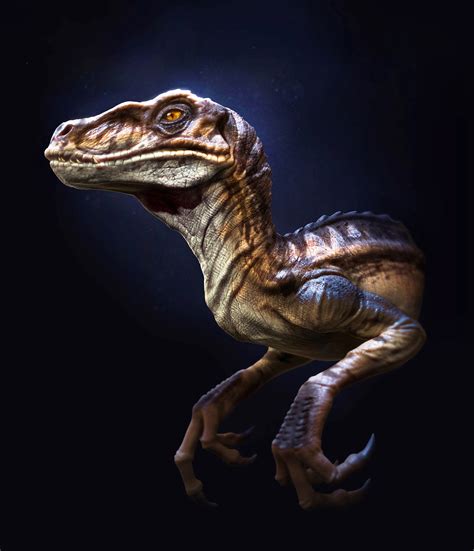 Download Velociraptor Animal Dinosaur Art