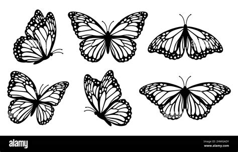 Butterfly Silhouette Side