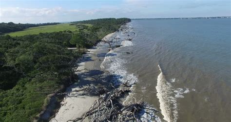 Jekyll Island Driftwood Beach Aerial Stock Footage Video 11913200 | Shutterstock