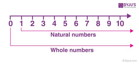 Natural Numbers and Whole Numbers- Definition, Properties, Examples