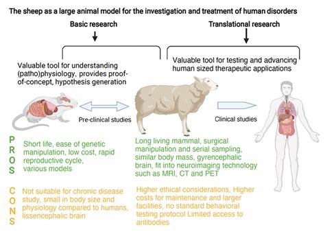 Top 178+ Transgenic animals as models for human disease - Merkantilaklubben.org