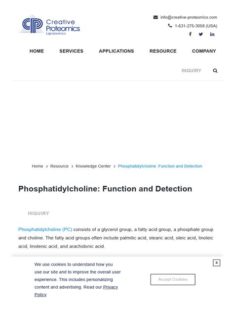 Phosphatidylcholine - Function and Detection - Lipidomics - Creative Proteomics | PDF | Lipid ...