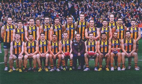 Hawthorn's premiership