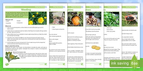 Gardening Club Summer 1 Activity Pack (teacher made)